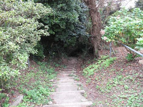 20150924hike (156)